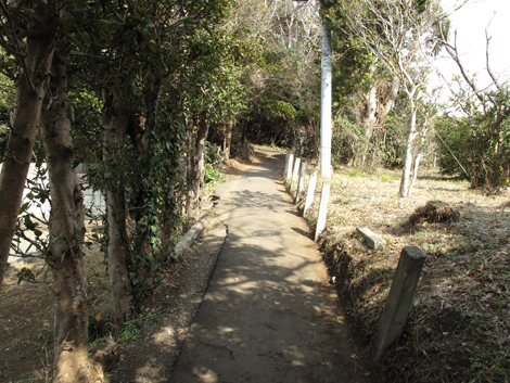 20180223hike (13)